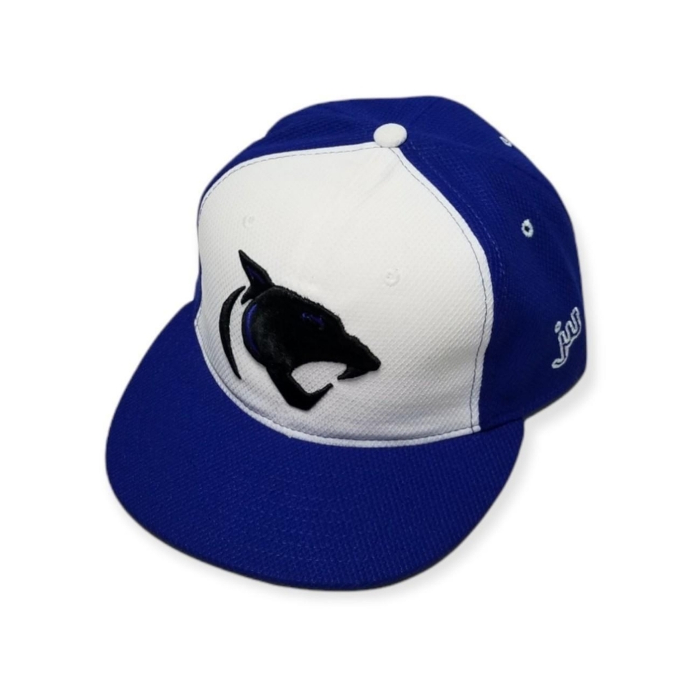 Fitted Thundercats cap hat